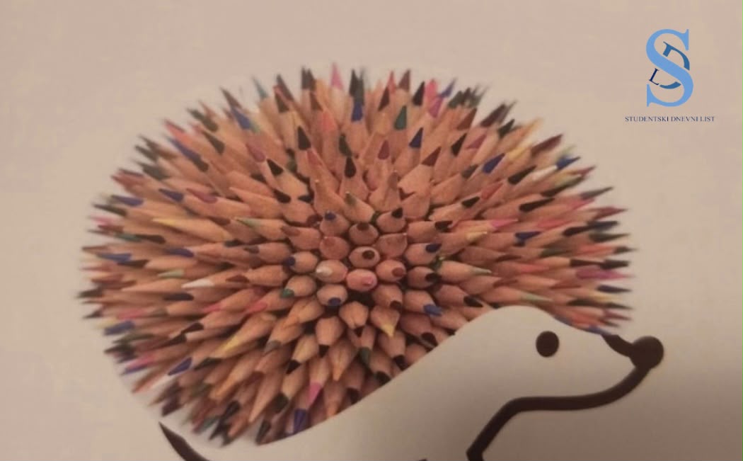 Ilustracija; Foto: SDL redakcija/ Jovan Veljković