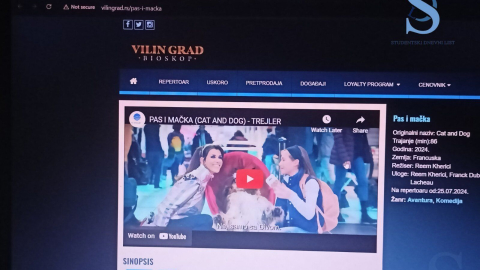 Ilustracija; Foto: SDL redakcija/ Andrijana Popović