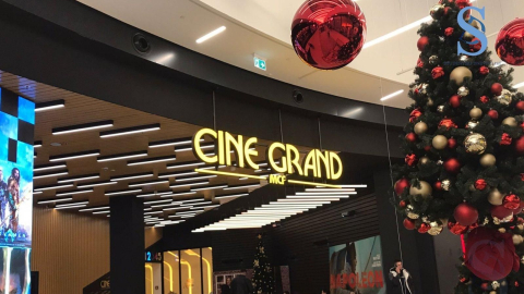 Ilustracija; Foto: SDL redakcija/ Nikoleta Stanojević