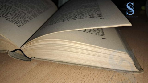 Ilustracija; Foto: SDL redakcija/ Anđela Pejdo