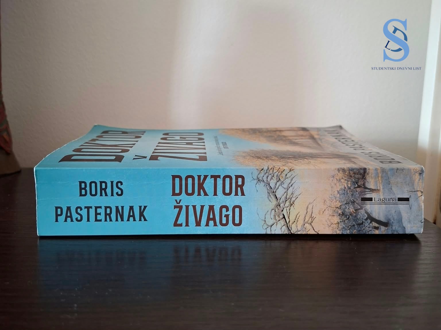 Ilustracija; Foto; SDL redakcija/Ljubica Paunović