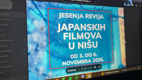 Ilustracija; Foto: SDL redakcija/Jana Stanojević